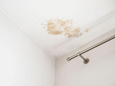 About Falls Church Black Mold Removal - black mold removal experts in Falls Church