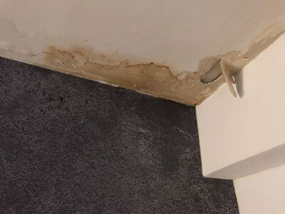 Professional black mold removal services in Falls Church - Falls Church Black Mold Removal